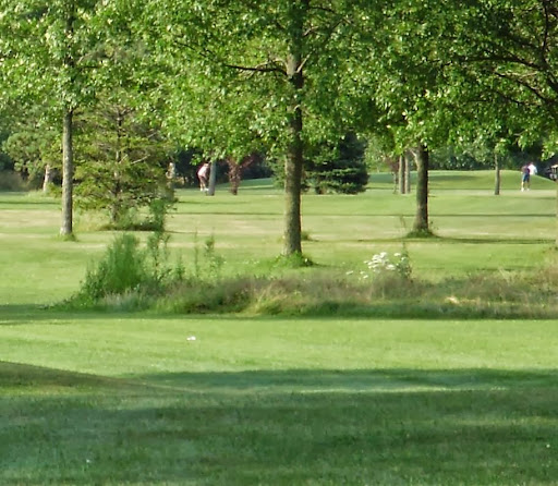 Public Golf Course «The Pheasant Golf Course», reviews and photos, 9837 Port Sheldon St, Zeeland, MI 49464, USA