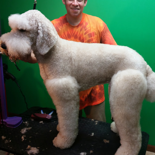 Pet Groomer «Pause 4 Paws Pet Grooming And Hotel», reviews and photos, 3770 W County Line Rd, Douglasville, GA 30135, USA