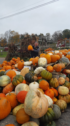 Farm «Alstede Farms», reviews and photos, 1 Alstede Farms Ln, Chester, NJ 07930, USA