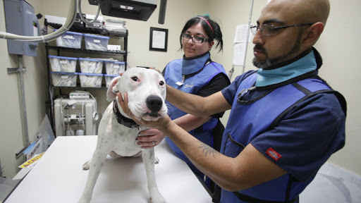 Alamo Dog & Cat Hospital