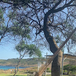 Photo n°1 de l'avis de Francesco.o fait le 14/08/2023 à 17:26 sur le  Orte à Otranto