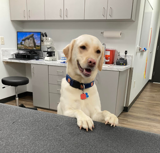Auburn Oaks Animal Clinic image