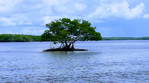 Everglades National Park, Florida