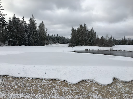 Golf Club «Salish Cliffs Golf Club», reviews and photos, 91 WA-108, Shelton, WA 98584, USA