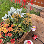 Photo n°2 de l'avis de Michael.� fait le 23/08/2023 à 13:10 sur le  Kaffee /Café Pause /Selbstbedienung à Gusborn