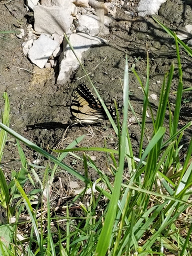 Park «Rose Hill Manor Park», reviews and photos, 1611 N Market St, Frederick, MD 21701, USA