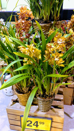 Grocery Store «Kroger», reviews and photos, 6616 Farm to Market Rd 1488, Magnolia, TX 77354, USA