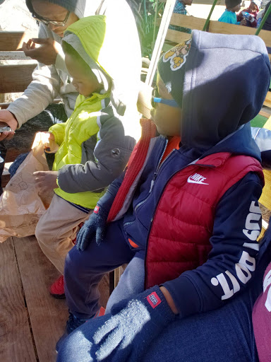 Tourist Attraction «Sugar Hill U-pick Farms», reviews and photos, 3595 Co Rd 59, Verbena, AL 36091, USA