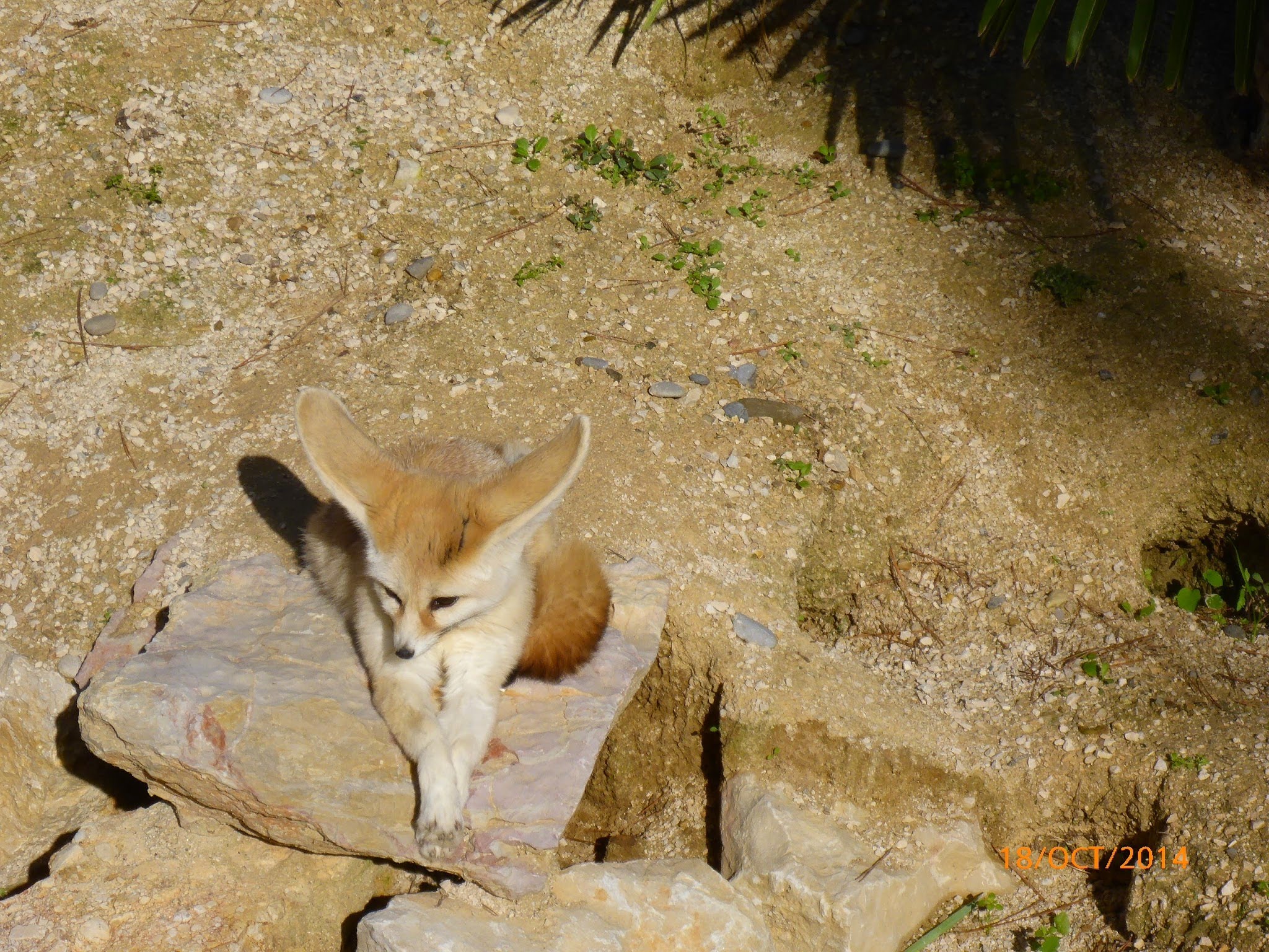 Photo n° 3 de l'avis de Vincent.i fait le 22/08/2018 à 16:43