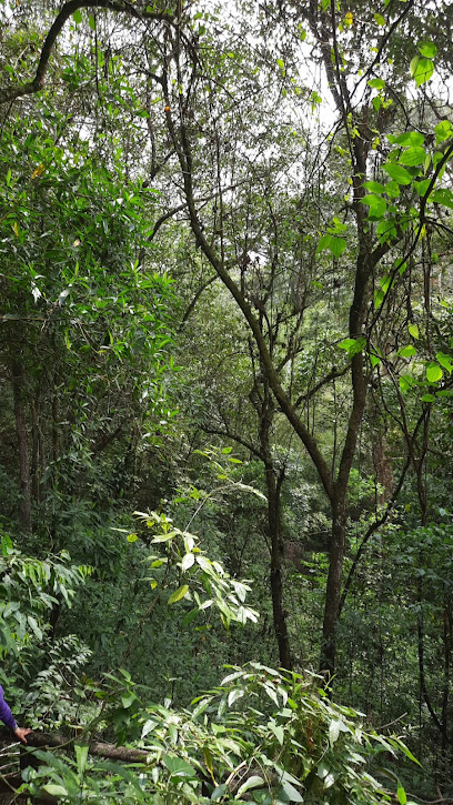 Ecoparque Samuel Alvarez - Reserva Natural de La Sociedad Civil