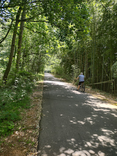 Bicycle Rental Service «Silver Comet Cycles», reviews and photos, 4342 Floyd Rd SW, Mableton, GA 30126, USA