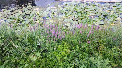 Tourist Attraction «St. Helena Heritage Park», reviews and photos, 123 Tuscarawas St NW, Canal Fulton, OH 44614, USA