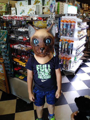 Toy Store «Big Blue Whale», reviews and photos, 237 W 19th St, Houston, TX 77008, USA