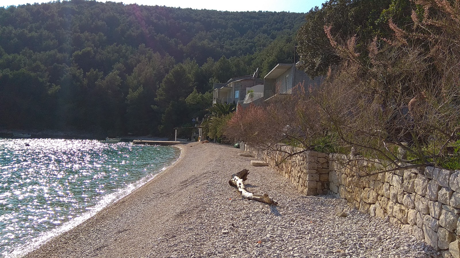 Smokvina beach'in fotoğrafı çok temiz temizlik seviyesi ile