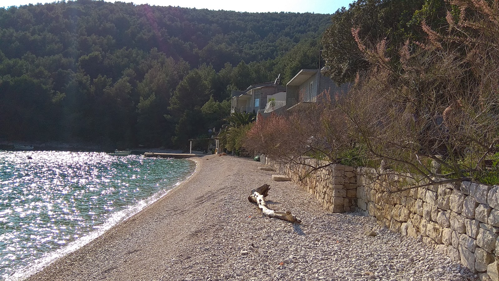 Foto von Smokvina beach mit kleine bucht