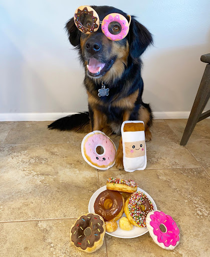 Donut Shop «BoSa Donuts», reviews and photos, 155 E Williams Field Rd, Gilbert, AZ 85295, USA