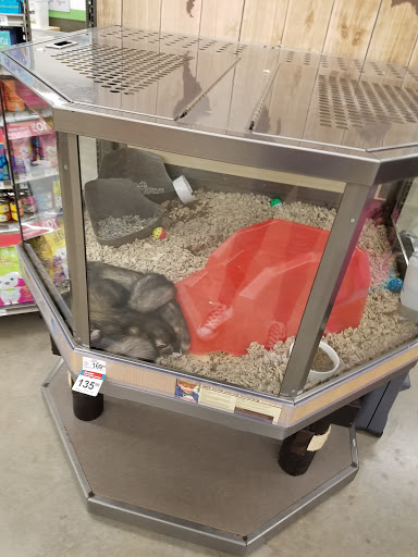Pet Supply Store «Petco Animal Supplies», reviews and photos, 247 N Washington Hwy, Ashland, VA 23005, USA