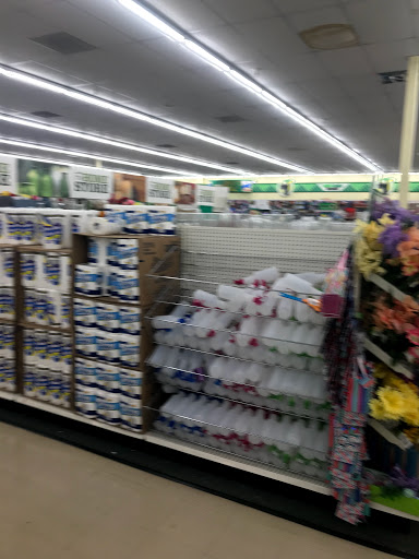 Dollar Store «Dollar Tree», reviews and photos, 11555 San Pablo Ave, El Cerrito, CA 94530, USA