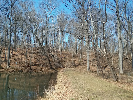 Park «Pilgrim Hill Local Park», reviews and photos, 1615 E Randolph Rd, Silver Spring, MD 20904, USA