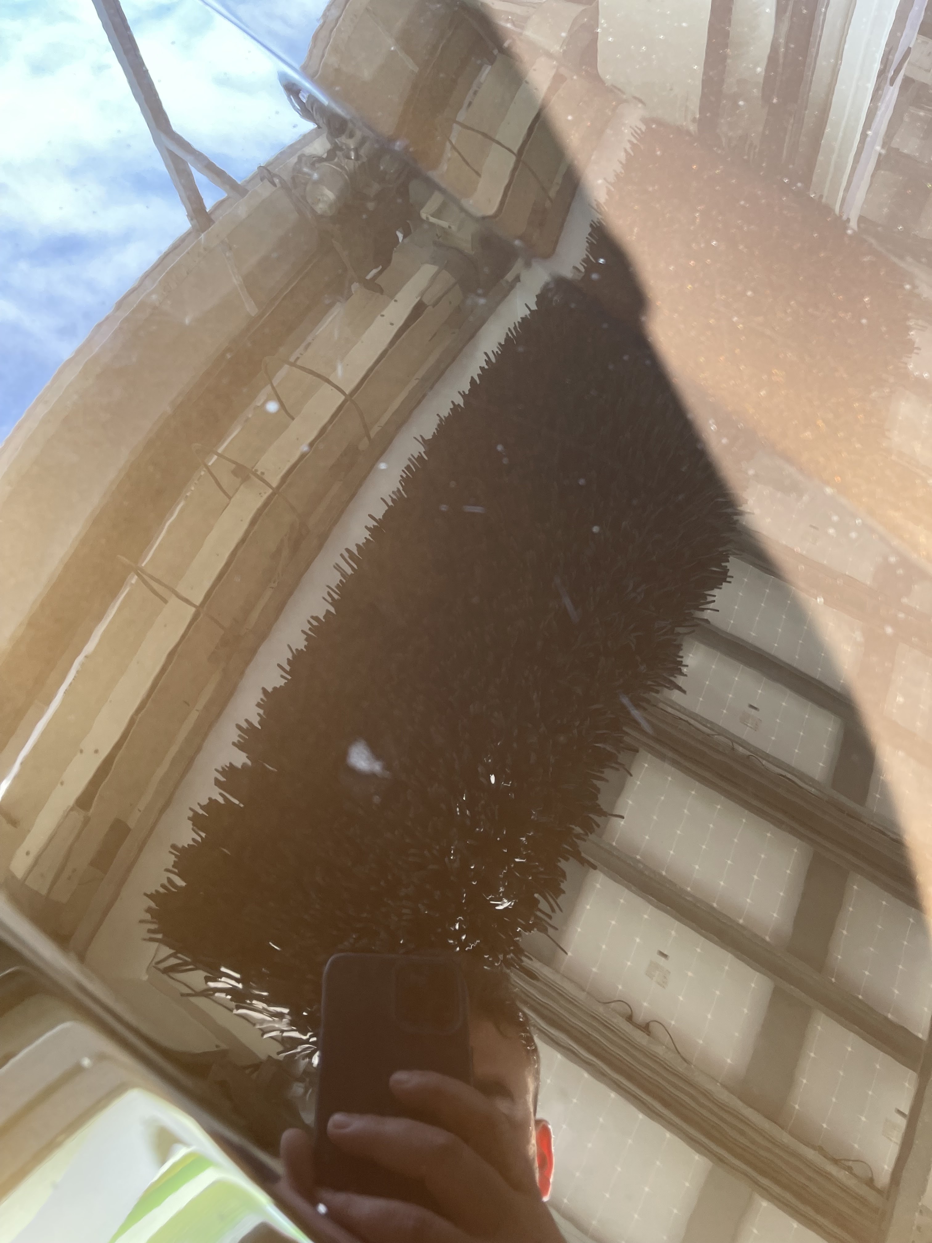 Photo n° 5 de l'avis de Abdelaziz.a fait le 10/10/2021 à 12:15