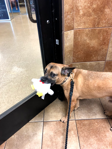 Pet Supply Store «PetSmart», reviews and photos, 3351 Jefferson Davis Hwy, Alexandria, VA 22305, USA