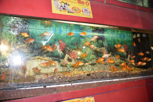 Sameer Pet Shop