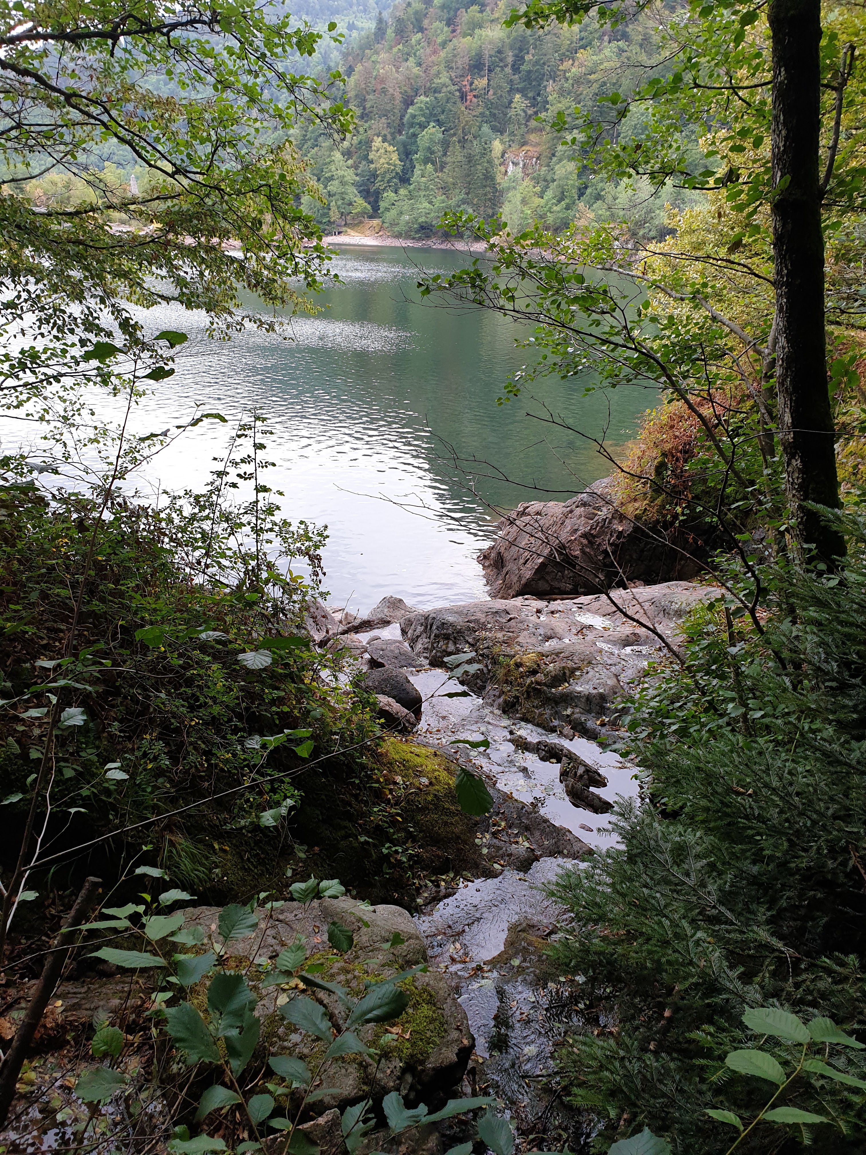 Photo n° 23 de l'avis de Christophe.r fait le 28/07/2019 à 18:55