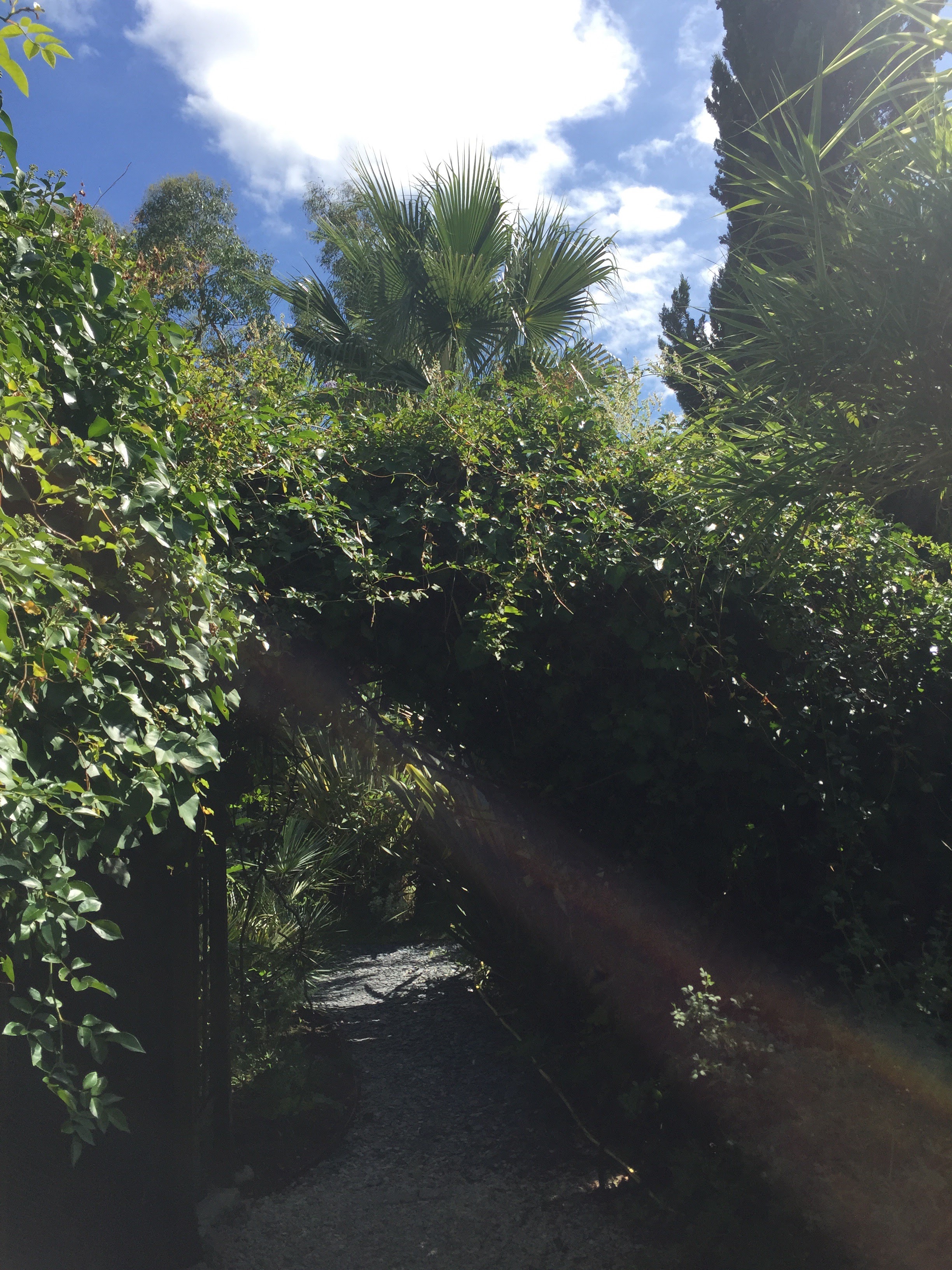 Photo n° 2 de l'avis de Ulrich.i fait le 10/08/2018 à 14:46