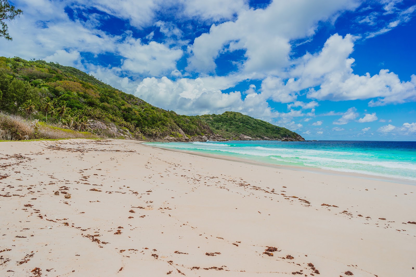 Foto de Police Bay Beach con brillante arena fina superficie