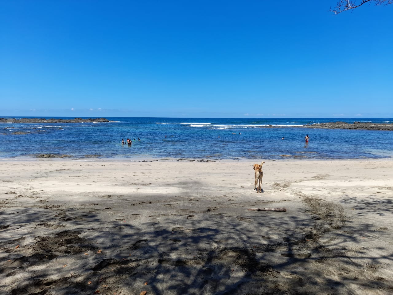 Foto de Playa Callejones con agua cristalina superficie