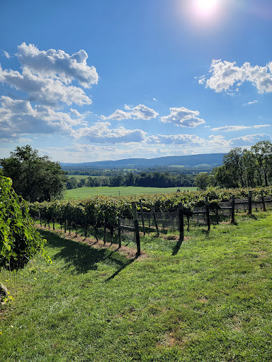 Winery «Hillsborough Vineyards», reviews and photos, 36716 Charles Town Pike, Purcellville, VA 20132, USA