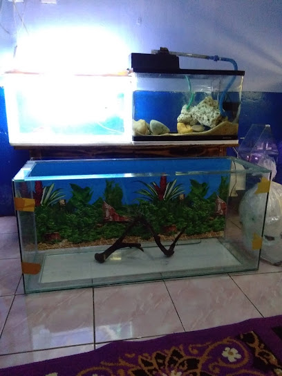 Achmad Kharisun Travel & Aquarium & Ikan Hias
