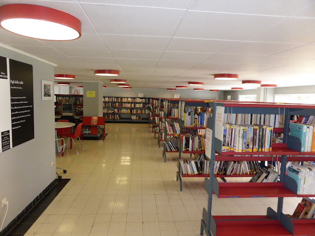 Bibliothèque de la Cité openingstijden