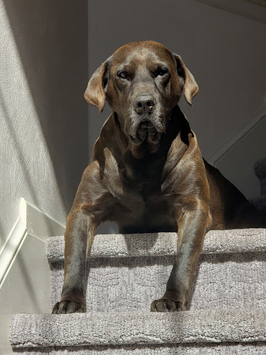 4690 Princess Anne Rd, Virginia Beach, VA 23462, USA