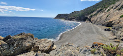 Foto von Ginevro Beach wilde gegend