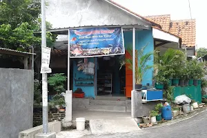 Berkah Aquarium Kliwonan image