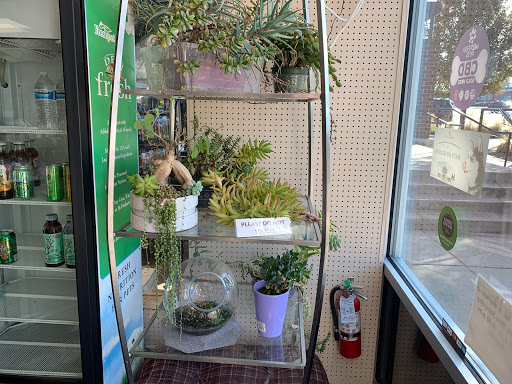 Tropical Fish Store «Aquatic Dog», reviews and photos, 7429 E Iliff Ave, Denver, CO 80231, USA