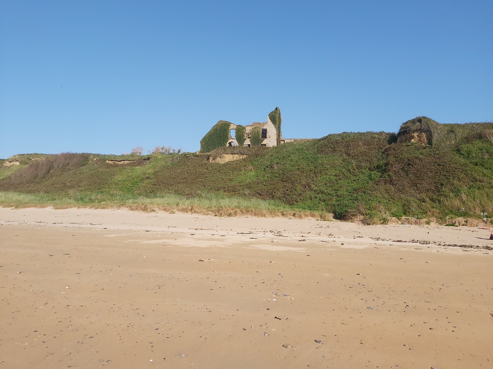 Photo de Boyce's Bay Beach avec un niveau de propreté de très propre