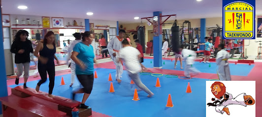 Asociacion Marcial Taekwondo Golden Lions - Pensador Mexicano #33, Centro Nte, 42602 Actopan, Hgo., Mexico