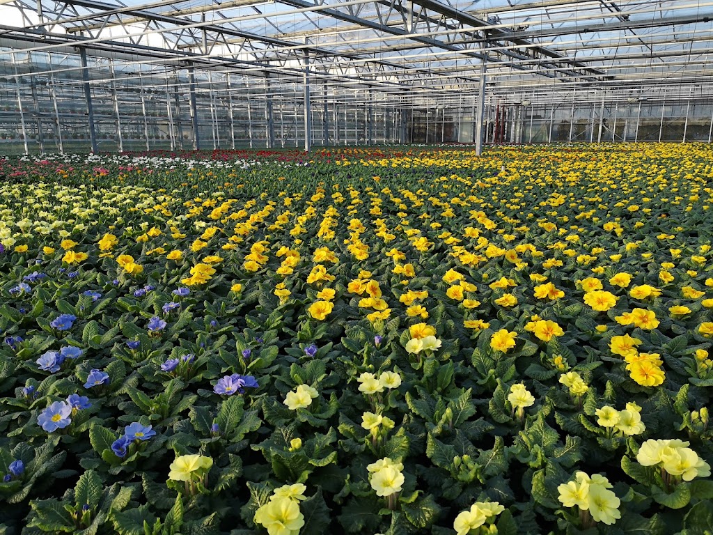 Gärtnerei Möhlmann