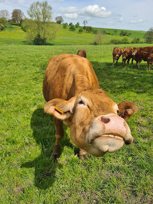 Ferme La bonne étoile à Reillon