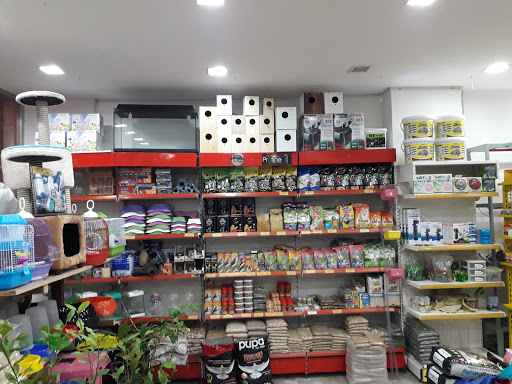 Kümes Aqua Petshop | Ümraniye İstanbul - Evcil Hayvan Malzemeleri Mağazası