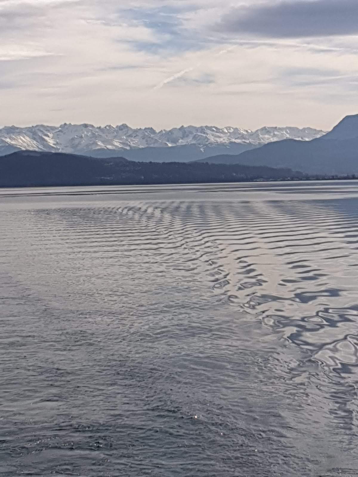 Photo n° 1 de l'avis de Guy-René.e fait le 17/02/2020 à 02:44