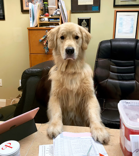 163 Weston Rd, Weston, FL 33326, USA