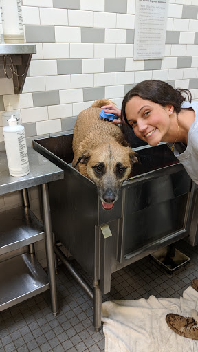 Pet Supply Store «Unleashed by Petco», reviews and photos, 20 Deer Shore Square A, North Babylon, NY 11703, USA