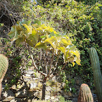 Photo n°18 de l'avis de Alessandro.u fait le 03/04/2022 à 20:57 sur le  Villa della Pergola à Alassio