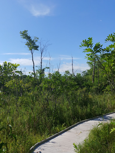 Nature Preserve «Jackson Bog State Nature Preserve», reviews and photos, 7984 Fulton Dr NW, Massillon, OH 44646, USA