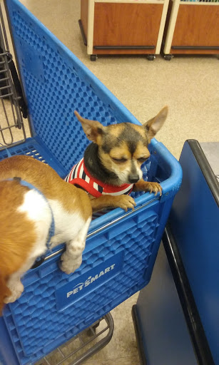 Pet Supply Store «PetSmart», reviews and photos, 11945 Central Ave, Chino, CA 91710, USA