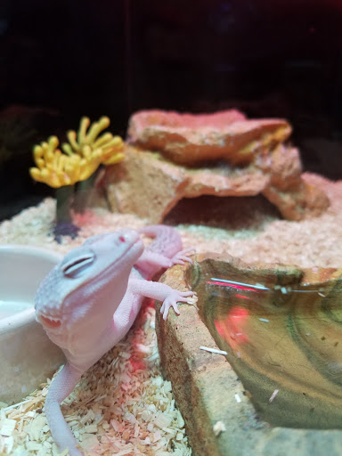 Sand Bar Pet Shop image