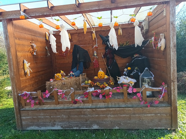 Comentarii opinii despre Assisi Szent Ferenc templom